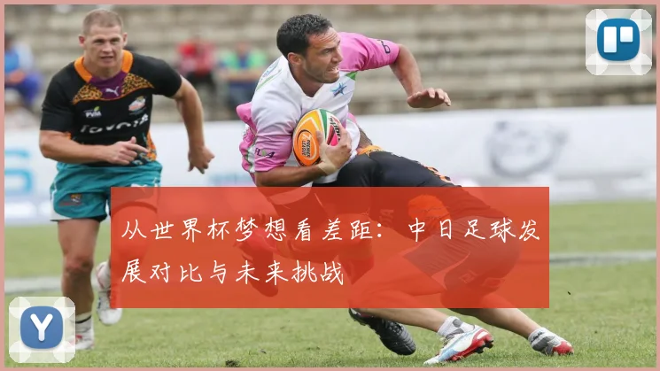 从世界杯梦想看差距：中日足球发展对比与未来挑战